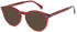 LONDON CLUB 1170 TURNER glasses in Red