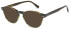 LONDON CLUB 1171 LEVITT glasses in Green