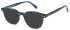 LONDON CLUB 1172 SADLER glasses in Blue Tort