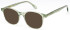 LONDON CLUB 1172 SADLER glasses in Green