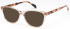 LONDON CLUB 1175 CLARKE glasses in Peach