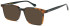 LONDON CLUB 1181 WATSON glasses in Tort