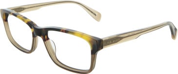 Ted Baker TB8328 glasses in Tortoise/Khaki