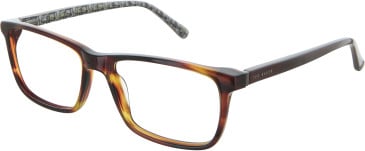 TB8263 glasses in Brown Horn