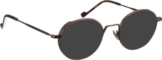 Entourage of 7 Maru sunglasses in Brown/Brown