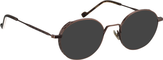 Entourage of 7 Maru sunglasses in Brown/Brown