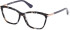 GU2880 glasses in Purple Havana
