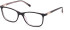 GU3004 glasses in Black/Other