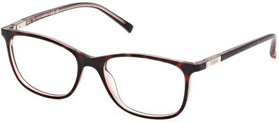 GU3004 glasses in Havana/Other