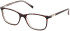 GU3004 glasses in Havana/Other