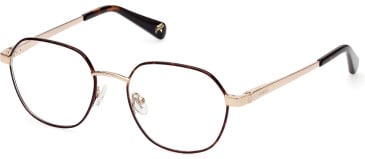 GU5222 glasses in Dark Havana