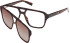 Timberland TB50085 glasses in Dark Havana/Brown