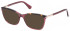 GU2880 sunglasses in Shiny Bordeaux