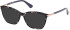 GU2880 sunglasses in Purple Havana