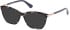 GU2880 sunglasses in Purple Havana