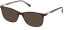 GU3004 sunglasses in Black/Other