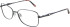 Puccini 306S glasses in Shiny Brown