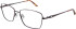 Puccini 305S glasses in Shiny Brown