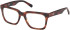 Gant GA50059 glasses in Red Havana