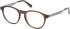 Gant GA50063 glasses in Shiny Dark Brown