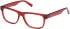 Gant GA50075 glasses in Shiny Bordeaux