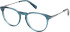 Gant GA50092 glasses in Shiny Dark Green