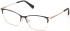 Gant GA50094 glasses in Shiny Dark Brown