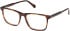 Gant GA50095-55 glasses in Dark Havana