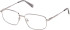 Gant GA50097-55 glasses in Shiny Light Ruthenium