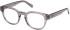 Gant GA50102-49 glasses in Shiny Grey