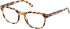 Gant GA50115 glasses in Blonde Havana