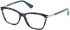 Guess GU2880-52 glasses in Teal Havana