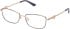 Guess GU2975 glasses in Shiny Grey