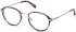 Guess GU50079 glasses in Grey/Striped