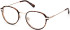 Guess GU50079 glasses in Dark Havana
