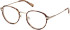 Guess GU50079 glasses in Blonde Havana