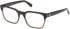 Guess GU50094-53 glasses in Dark Havana