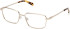 Guess GU50096 glasses in Shiny Pale Gold