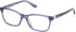 Guess GU50196 glasses in Violet/Horn