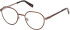 Guess GU50239 glasses in Dark Bronze