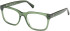 Guess GU50251 glasses in Shiny Dark Green