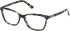Guess GU50310-52 glasses in Blue/Havana