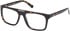 Guess GU50328 glasses in Dark Havana