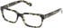 Guess GU50329-54 glasses in Dark Green/Havana