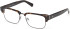 Guess GU50330 glasses in Dark Havana