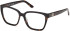 Guess GU50354-53 glasses in Dark Havana