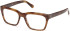 Guess GU50365 glasses in Light Brown/Horn