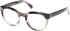 Guess GU50366 glasses in Grey/Horn