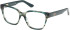 Guess GU50381 glasses in Dark Green/Horn