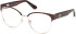 Guess GU50382 glasses in Matte Dark Brown